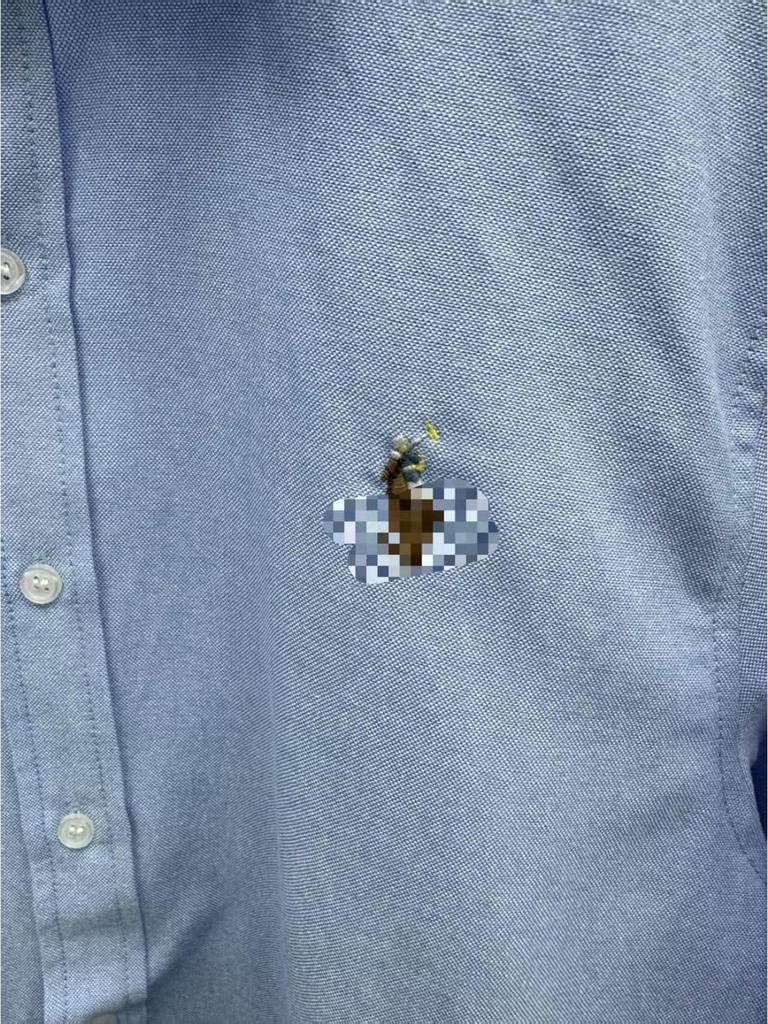 Premium Cotton Oxford Cloth Shirt with Horse Embroidery - Unisex Business Casual