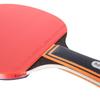 Deli Angrenate 1-Star Table Tennis Racket