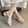 Sandals New Women 'S Summer Fairy Style Thick Heel Net Red One -Word Buckle Roman Shoes In The Heel With Skirt