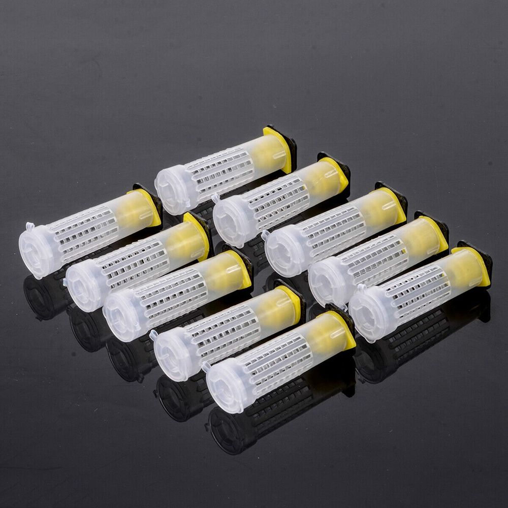 Beekeeping 50Pcs Box Holder Equipment Tool Rearing Cup Protective Cover Bees Rearing Bee Queen Cage