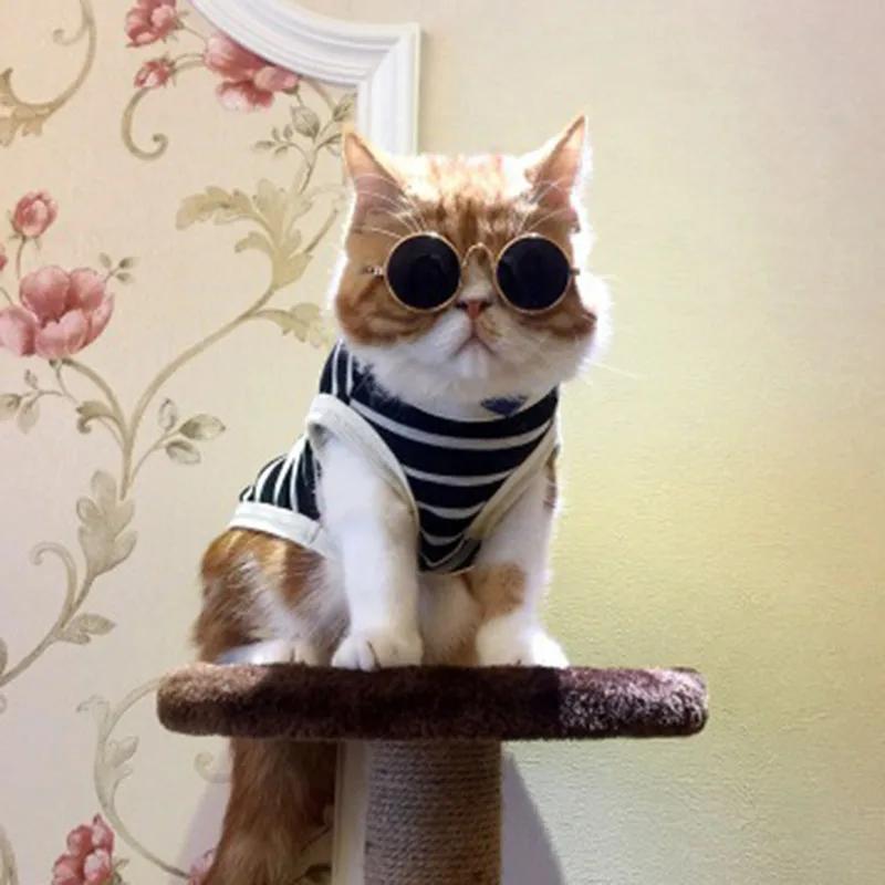 Lovely Pet Cat Glasses Dog Glasses Pet Products Cat Toy Dog Sunglasses Photos Props Pet Accessoires Round Glasses