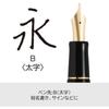 PILOT Custom 74 B Broad (Bold) Dark Blue Black FKKN12SRDLB Nib 14K Pilot