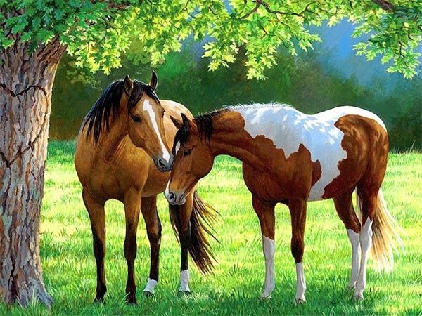 

Полная квадратная/круглая алмазная картина мозаика лошадь дерево домашний декор вышивка животное ручная работа подарок настенный декор Full Round 20x30CM