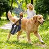 Joint Stabilizing Dog Knee Support Hind Leg Support Pet Recovery Brace  Hind Leg Injury
