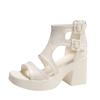 Fashion Europe and America Retro Platform High Heels Women 2024 New Summer Fashion Belt Buckle Open Toe Waterproof Platform  Sandals