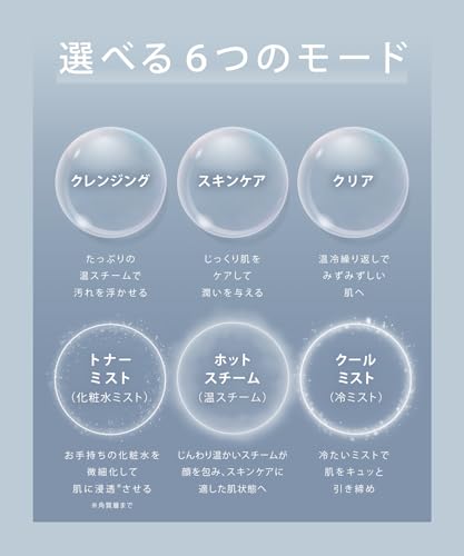 SALONIA Pure Bright Facial Steamer, Facial Steamer, Beige, Amazon.co.jp Exclusive