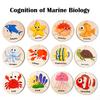 Children Montessori Educational Toys Wooden Circular Puzzle Marine Cognition Matching Game Early Preschool Toys for Kid Learning