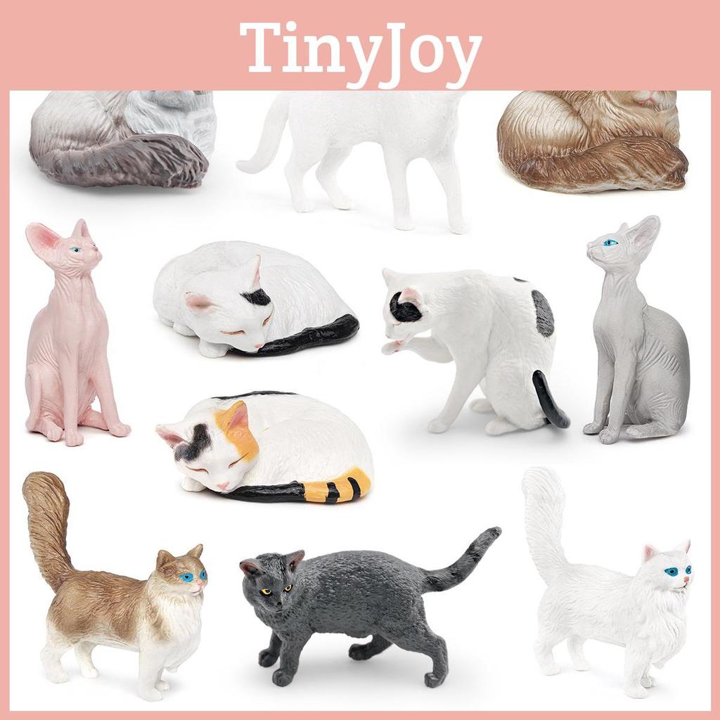 Cat Calico Ragdoll Cat Figure Model For Kids Learning Toy And Display Decorative