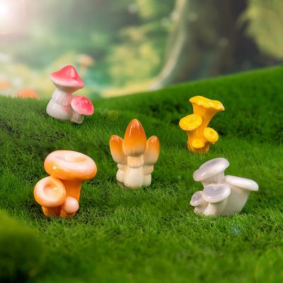 Ev Dekoru – Dekoratif Terraryumlar