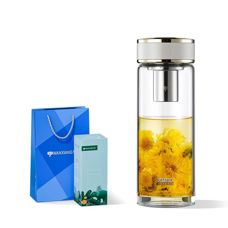 WNX Portable High Borosilicate Glass Tea Infuser Bottle
