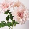 Green Leaves Artificial Dahlia Flowers Simulation Dahlias Branch  Hotel Wedding Decoration