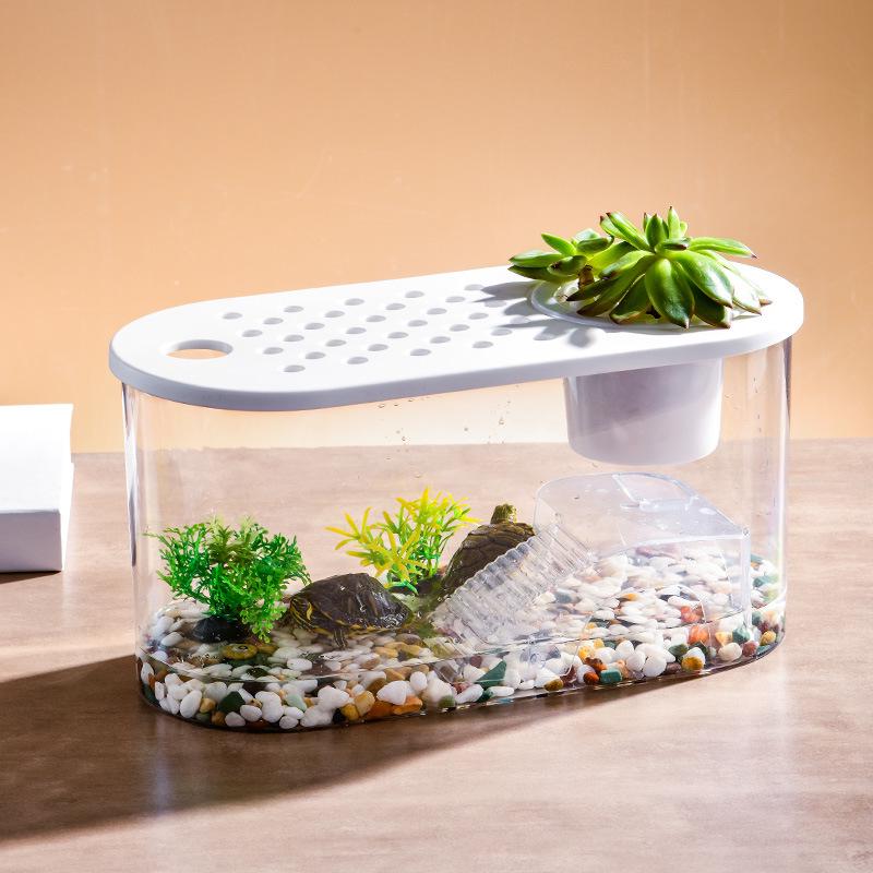Clear Oval Desktop Fish Tank & Turtle Habitat Ornament