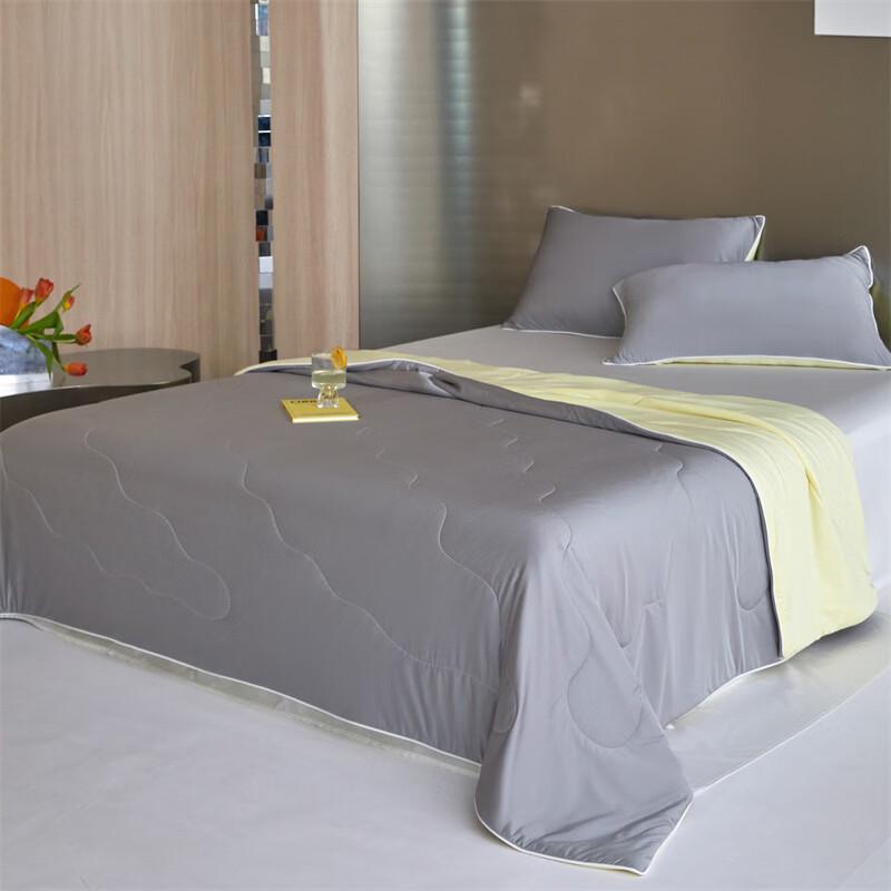 LISM Ice Silk Summer Cooling Quilt