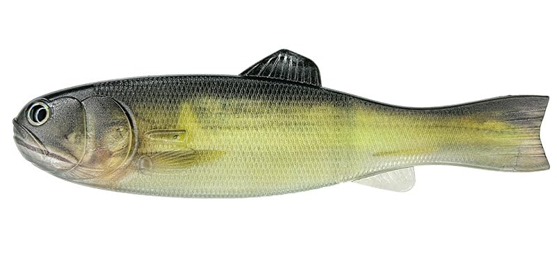 

Imakatsu Bass Worm 145 3DR Ayu (Eco-Friendly) #S-484