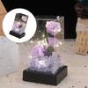 Konservierte Blume Rose Blume Künstliche Blume Hält in Acrylbox,Handgefertigte Rosenblumen mit LED-Licht Verzierung Geschenk