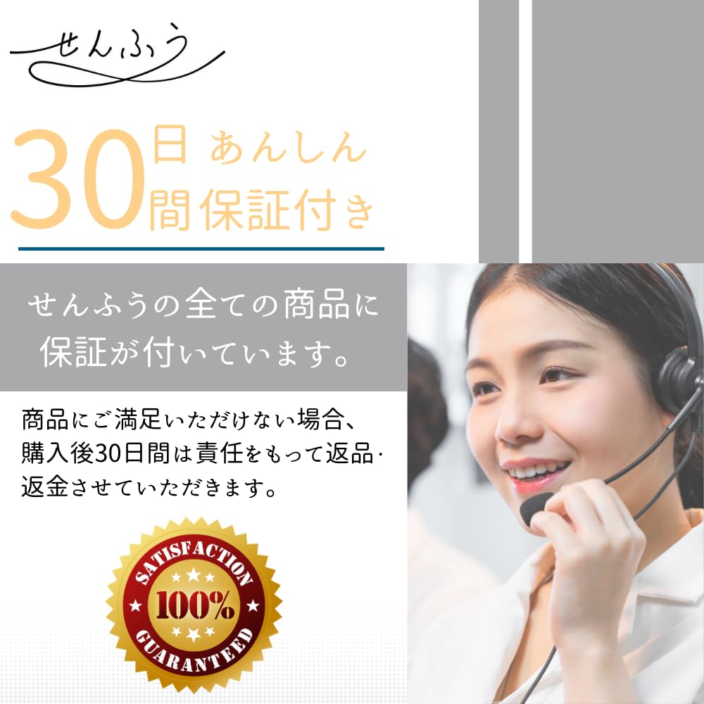 Senfuu Insulated Cooler Thermal Bags with Handles and Pack of 10 Bags, Zipper, Aluminum, 30x40cm,