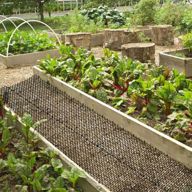 Plastikowa siatka przeciw kotom i psom, wisząca na ścianie, kafelkowa siatka przeciw kotom, ogród, balkon, ochrona roślin, siatka z kolcami, podkładka na odchody kota