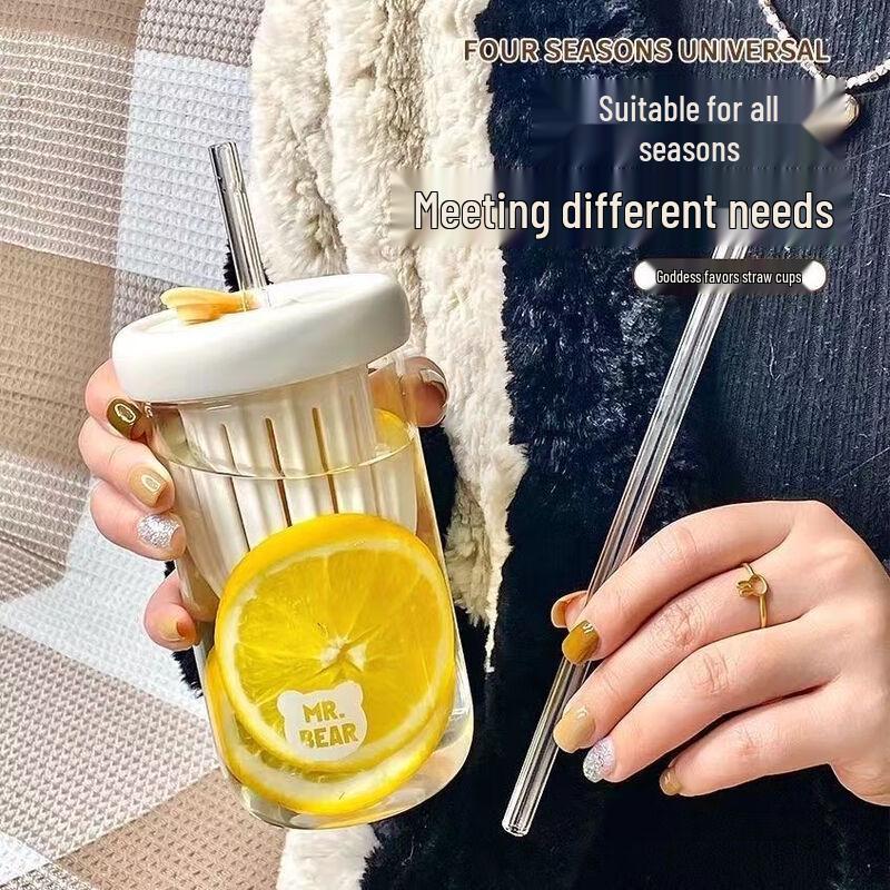 Portable Tea Infuser Glass Water Bottle with Straw