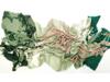 New Floral Patchwork Scarf - Twill Polyester Yarn, Screen Printed with Tassels