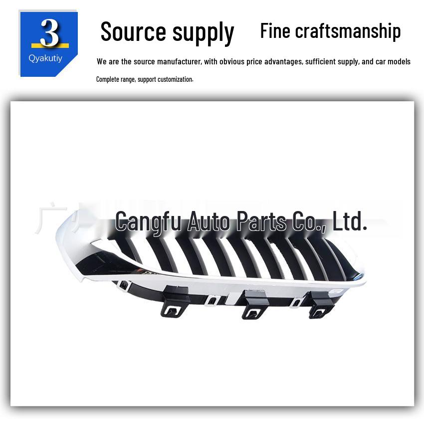 Front Kidney Grille for BMW (Fits Models 51137294807/51137294808)