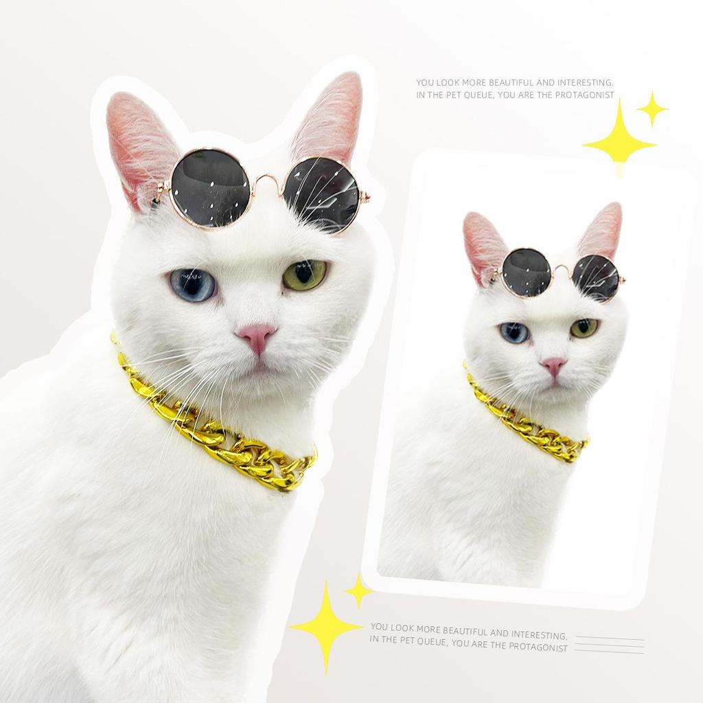 Adorable Pet Party Outfit: Necklace, Glasses & Sunglasses with Gold Chain for Cats & Puppies
