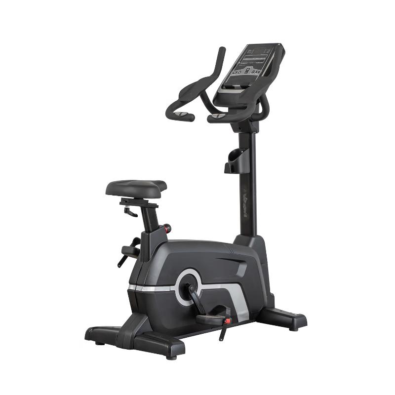 Smart Magnetic Self-Generating Exercise Bike