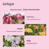 Jurlique Rose Hand Cream