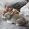Jucărie iepure din blană artificială realistă Păpușă iepure realistă Figurine animale Cadou Decor Acasă Meșteșuguri Ornamente Desktop Accesorii Fotografie
