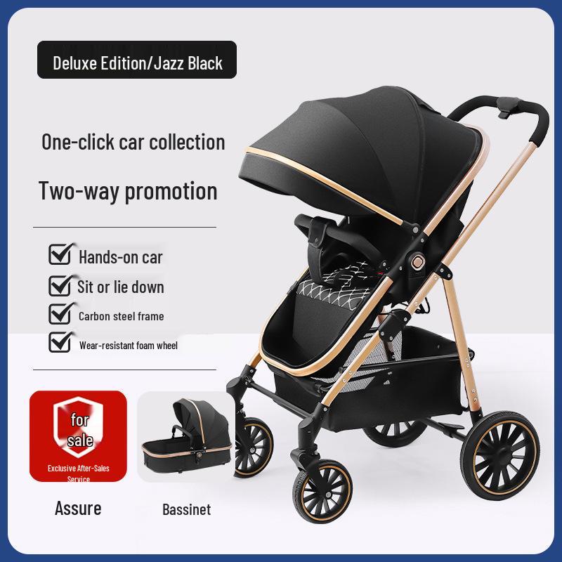 High Landscape Reversible Baby Stroller & Reclining Tricycle, Three-in-One with Large Wheels