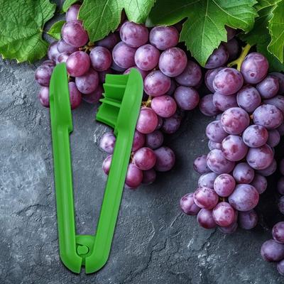 Herramientas para frutas y vegetales – Cucharas para sandía