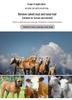 Serrated Horse Sweat Scraper & Dog Detangling Comb - Tack & Cleaning Tools