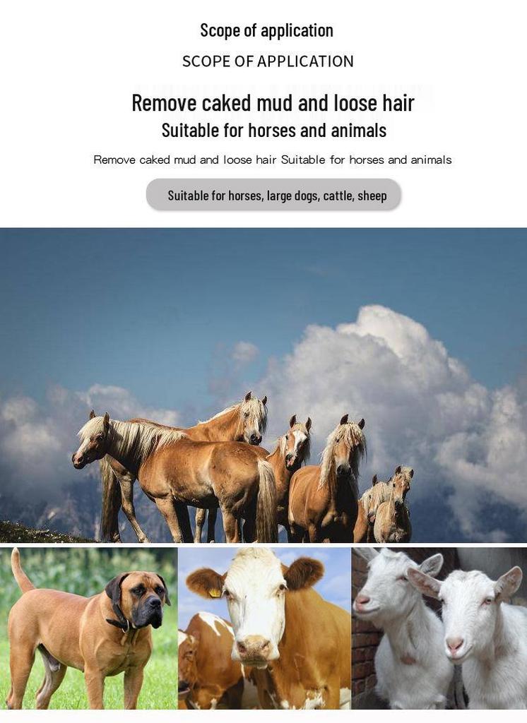 Serrated Horse Sweat Scraper & Dog Detangling Comb - Tack & Cleaning Tools