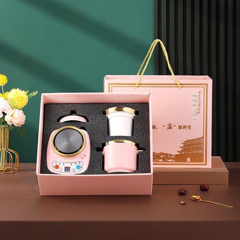 Ceramic Electric Health Kettle & Stew Cup Gift Set