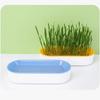 Hydroponic Cat Grass Pot Kitten Treats  Natural Catnip Bowl Soilless Planting Cat Grass Box Indoor Easy Growth Cat Accessories