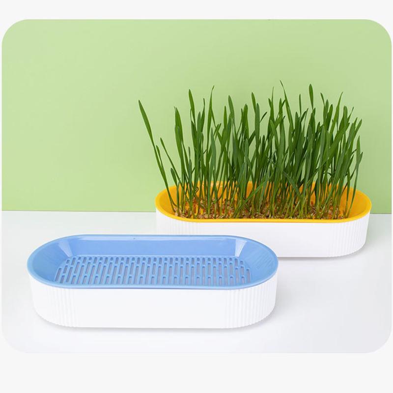Hydroponic Cat Grass Pot Kitten Treats  Natural Catnip Bowl Soilless Planting Cat Grass Box Indoor Easy Growth Cat Accessories
