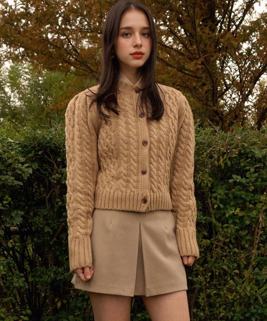 PREMIERE AMOUR Classic A-Line Skirt Pants - Beige