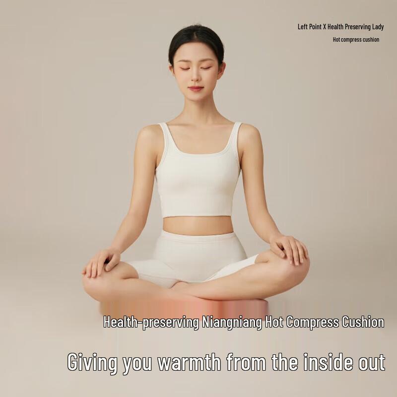 Zodian Health Empress Smart Heated Cushion