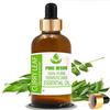 Pure Kruiden Curryblad (Murraya koenigii) Pure & Natural etherische olie van therapeutische kwaliteit in een glazen pot.