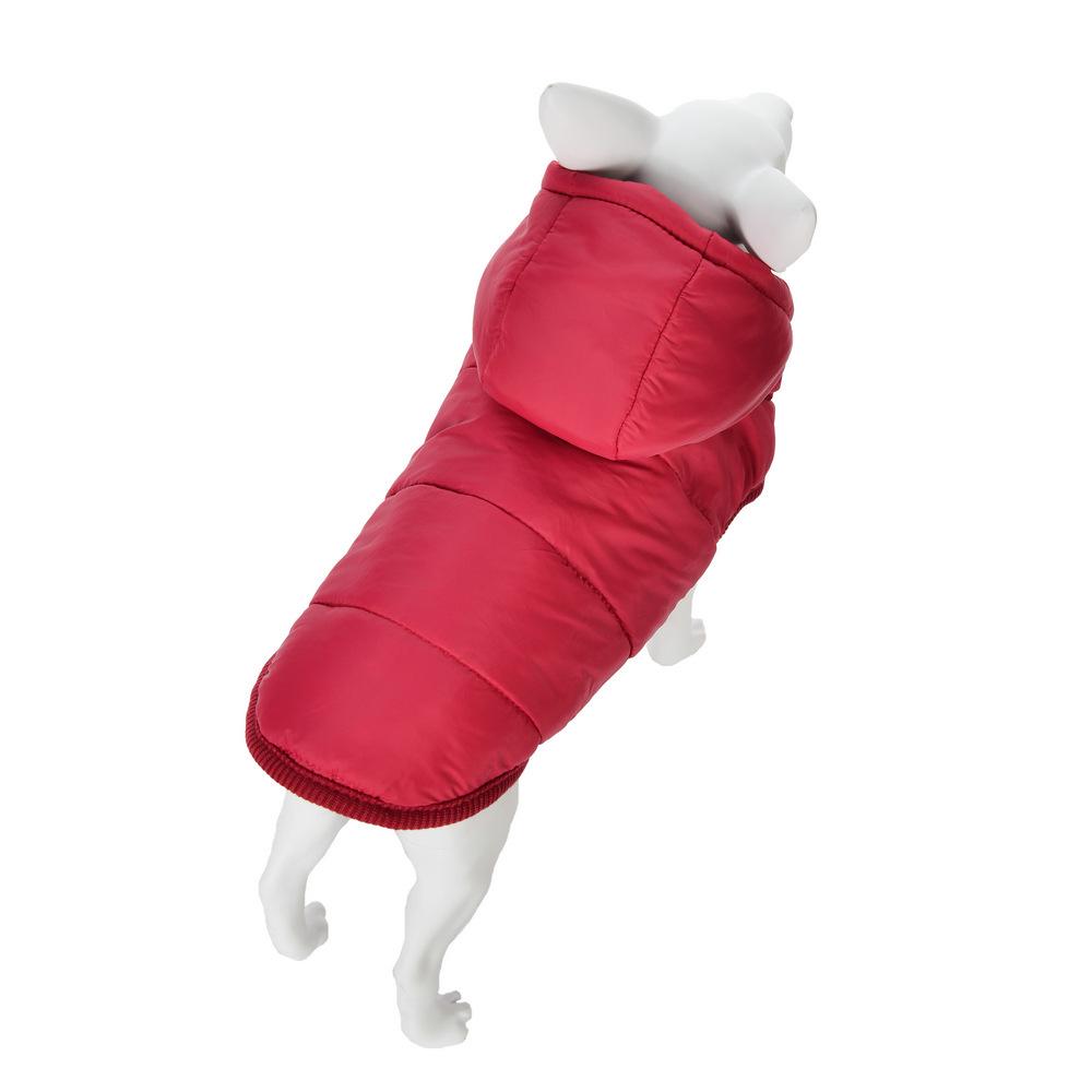 Windproof Hooded Jacket for Small Dogs – Autumn & Winter Pet Wear