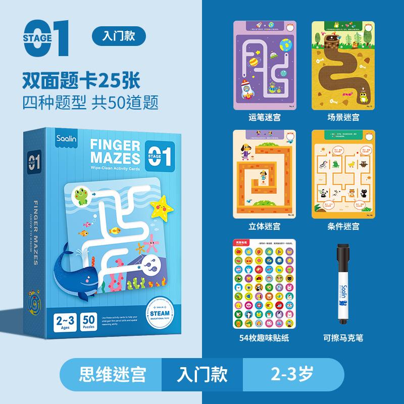 Age-specific Advanced Thinking Maze, Training Cards Can Be Erased Repeatedly, Children's Concentration Educational Toys