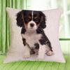 Cavalier King Charles Spaniel 45X45Cm Pillowcase Bedroom Sofa Home Decor