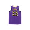 Nike NBA LeBron James City Version Jersey SW Fan Edition lakers 23 Purple Men's AJ4618-510