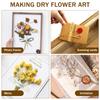 Flower Press Kit Wooden Professional Flower Leaf Press Kit DIY Pressed Flower Plant Preservation Kit Reusable Flower Press Kit