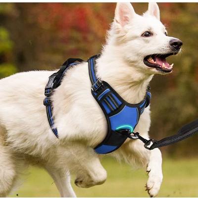 New Pet Chest Strap Medium and Large Dog Vest-style Leash Dog Chain