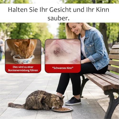 Katzennapf Edelstahl Flach 17cm – Non-Slip Cat Plate with Silicone Ring, Whisker-Friendly Design, Stackable for Cats & Small Dogs