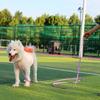PVC Lange Haustierleinen Spaziergang Outdoor Seil Hundeleine Haustiere Spielen Lange Distanz An der Leine