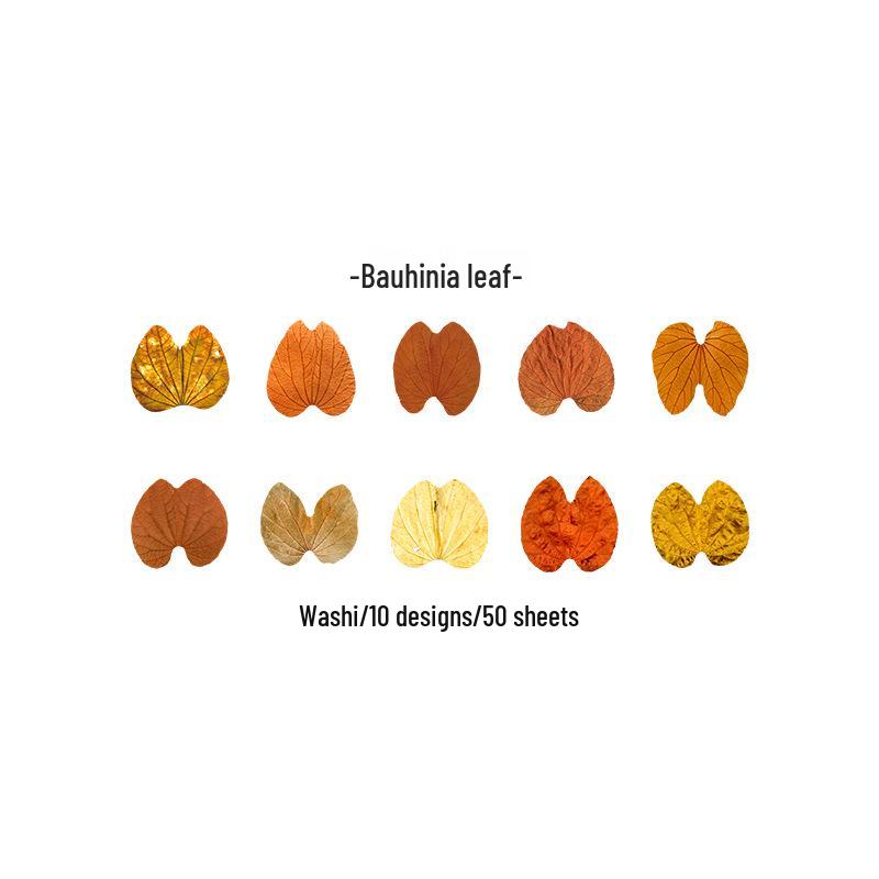 

Champs-Élysées Fallen Leaves Washi Tape Series: 8 Creative Designs for DIY Journals and Decoration