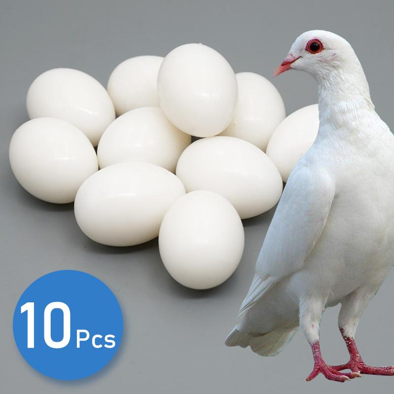 

10pc Pigeon False Eggs Filled Plastic Simulation For Hatch Breeding Supplies False Eggs for Racing Pigeons Breeding Supplie