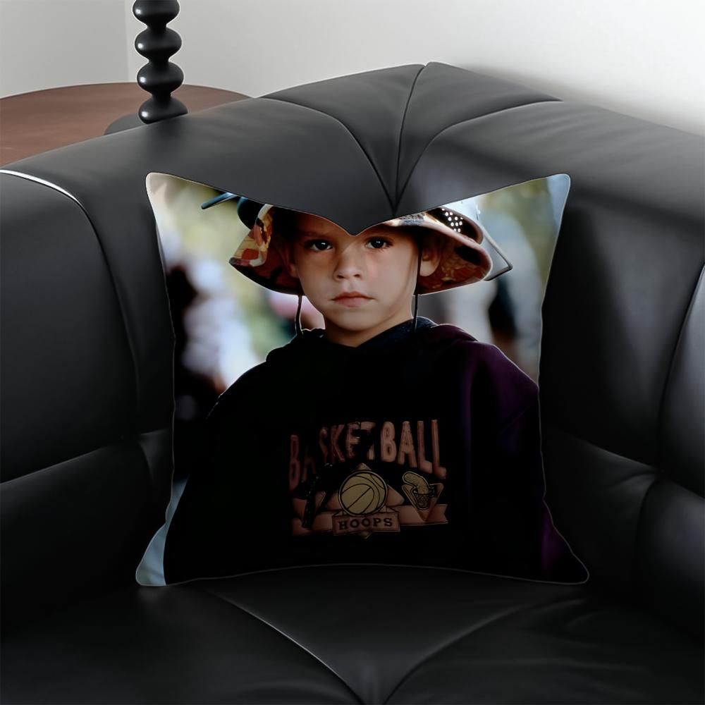 

bBen Geller Peripheral Soft Plush Cushion Cover Pillow Case Antidustmite Invisible zipper silky plush cushion 30X30cm