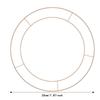 Wire Wreath Frame Metal Wreath Form Ring for DIY Crafts Floral Decorations Home Party 30cm Gold